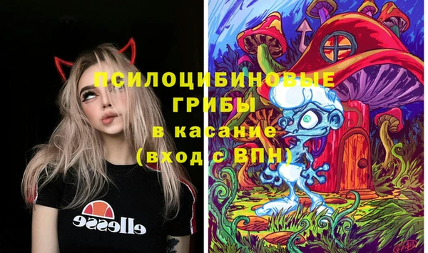 ECSTASY Володарск