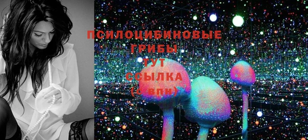 крисы Верея